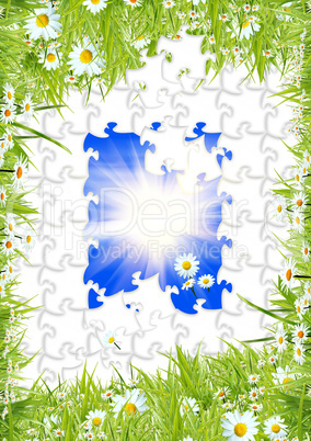 white puzzles with camomiles