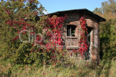 Ruine / Ruin