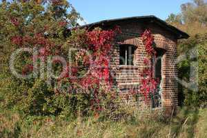 Ruine / Ruin