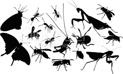 insects silhouettes