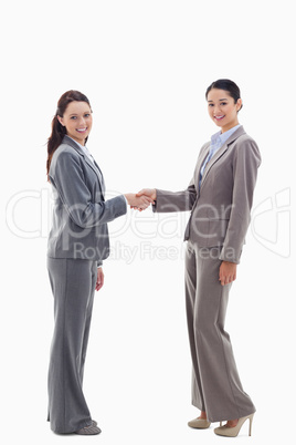 Two businesswomen shaking hands and smiling