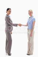 Smiling women shaking hands