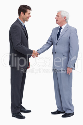 Young and mature businessmen shaking hands