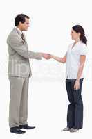 Side view of business people shaking hands