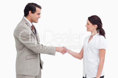 Side view of salespeople shaking hands