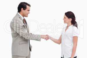 Side view of salespeople shaking hands