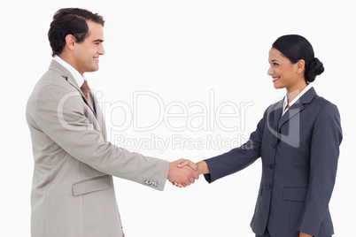 Side view of business partners shaking hands