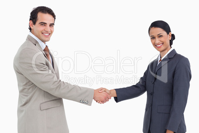 Side view of smiling business partners shaking hands