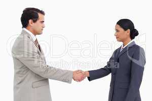 Side view of serious business partners shaking hands