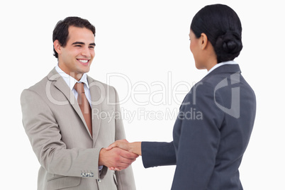 Smiling businessman shaking hand of businesspartner