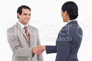 Smiling businessman shaking hand of businesspartner