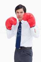 Young tradesman with boxing gloves