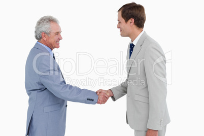 Side view of tradesmen shaking hands