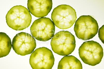 Salatgurke Salatgurke