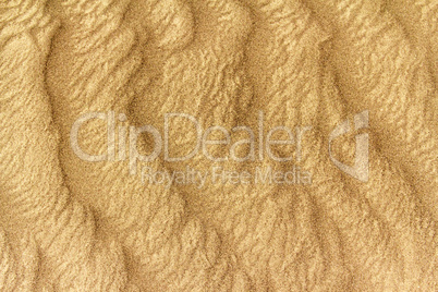 image of sand dunes