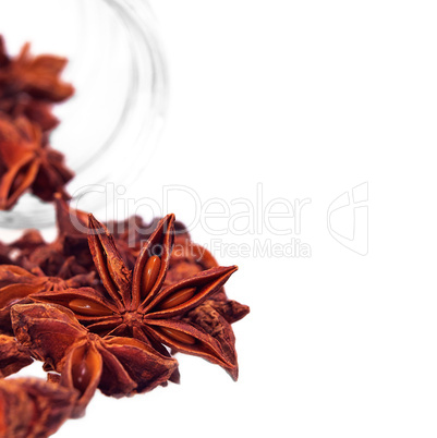 anise star isolated on white