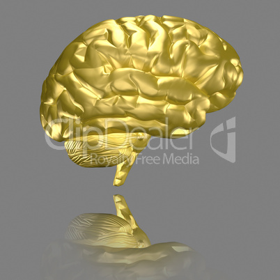 Gehirn - vergoldet