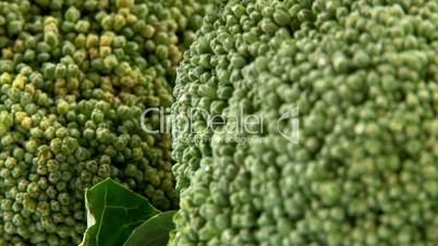 Broccoli, 2 clips