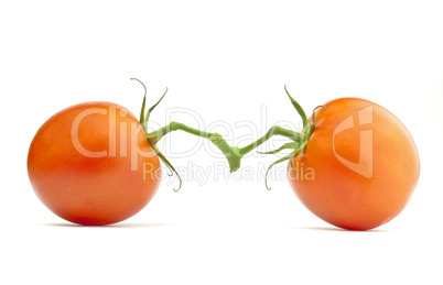 Two tomatoes isolated