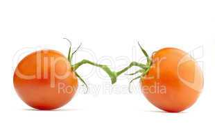 Two tomatoes isolated