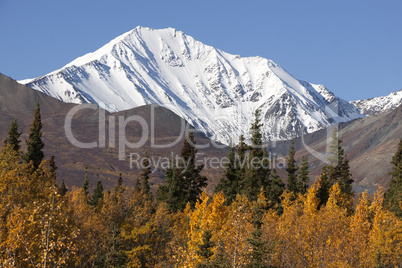 St. Elias Mountains