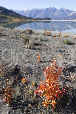 Kluane Lake