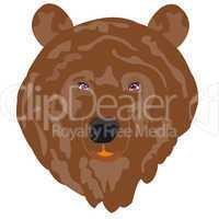 Illustration borax bear