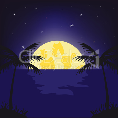 Moon night in tropic