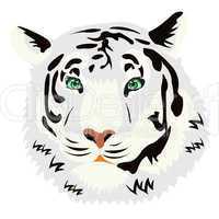 Portrait of the tiger on white background