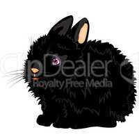 Illustration of the nice black rabbit