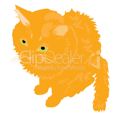 Illustration redhead cat