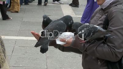 Feeding Pigeons on St. Mark's Square in Venice