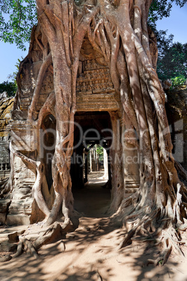 Ancient temple Preah Khan in Angkor complex