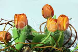 bunch of orange tulips