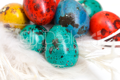 quail easter eggs