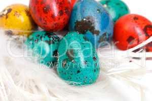 quail easter eggs