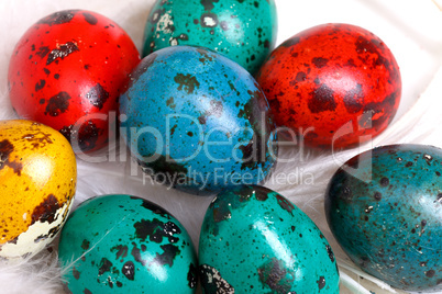 quail easter eggs