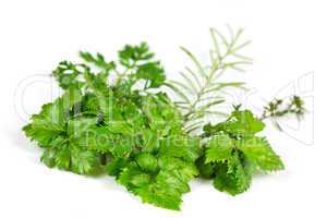 Parsley , Thyme,Herbs