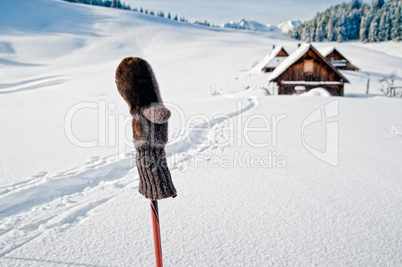 Ski Pole with Mitten