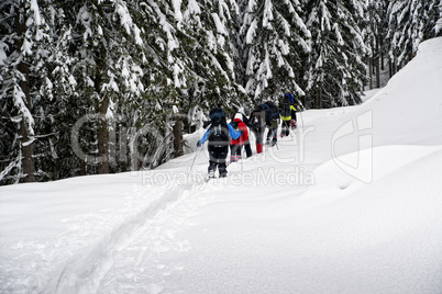 Group of Snowshoe Hikers