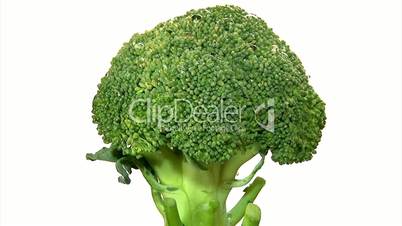 Broccoli, rotate, 3 clips