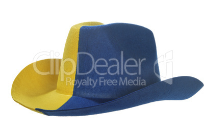 Yellow-blue cowboy hat