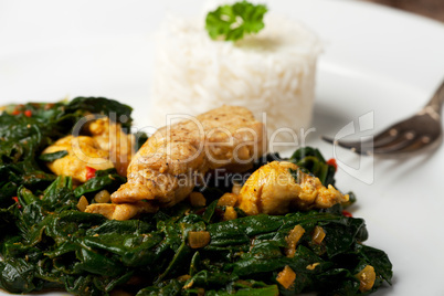 indisches Murgh Palak Gericht aus Huhn mit Spinat