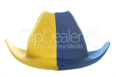 Yellow-blue cowboy hat