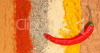 spices and chili pepper