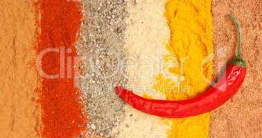 spices and chili pepper