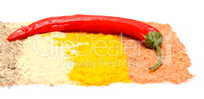 spices and chili pepper