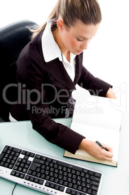 professional woman maintaining diary