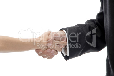 business shake hands