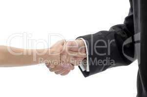 business shake hands